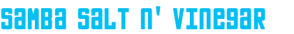 Samba Salt n' Vinegar